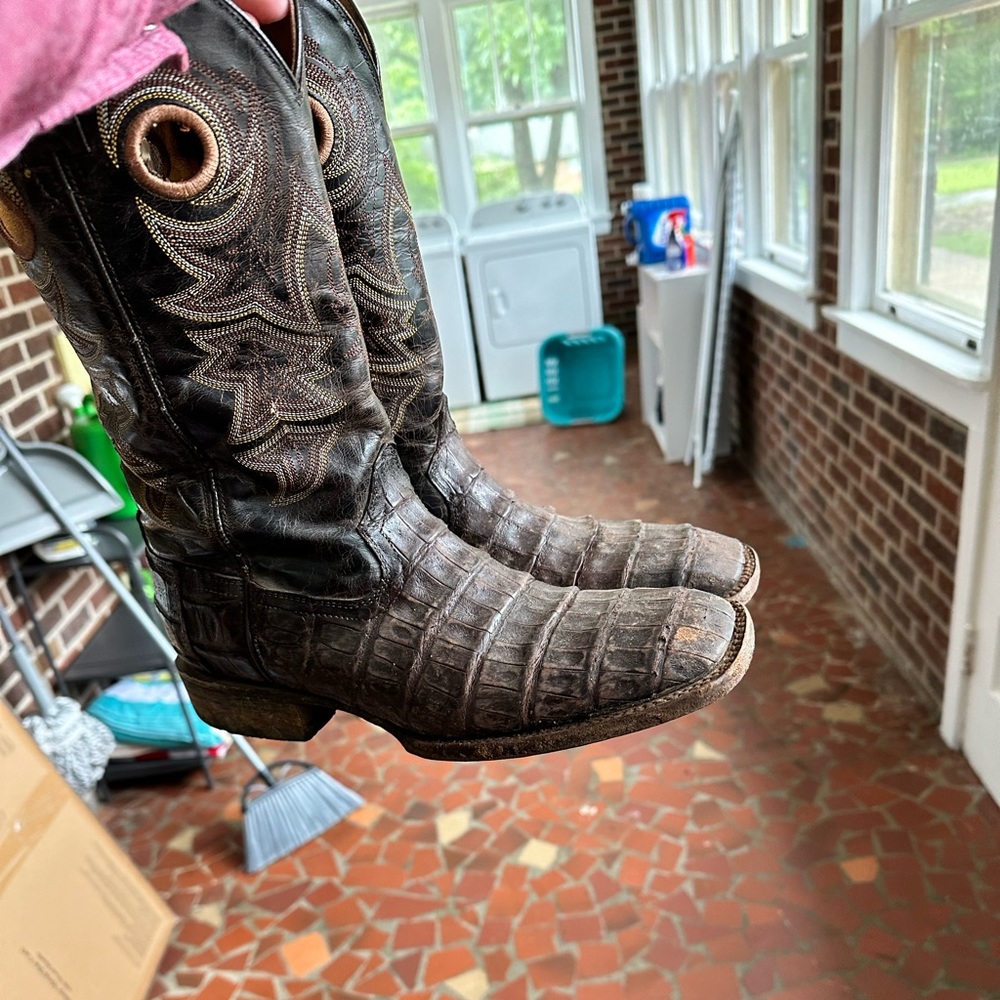 Bootbarn or cavenders brown caiman exotics